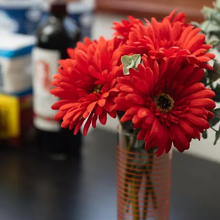 Lejlighed Lapsi - Traditional Maltese Style Near The Promenade *