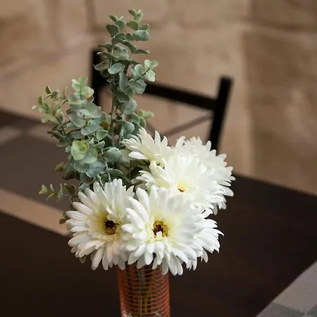 Apartament Lapsi - Traditional Maltese Style Near The Promenade St. Julian's